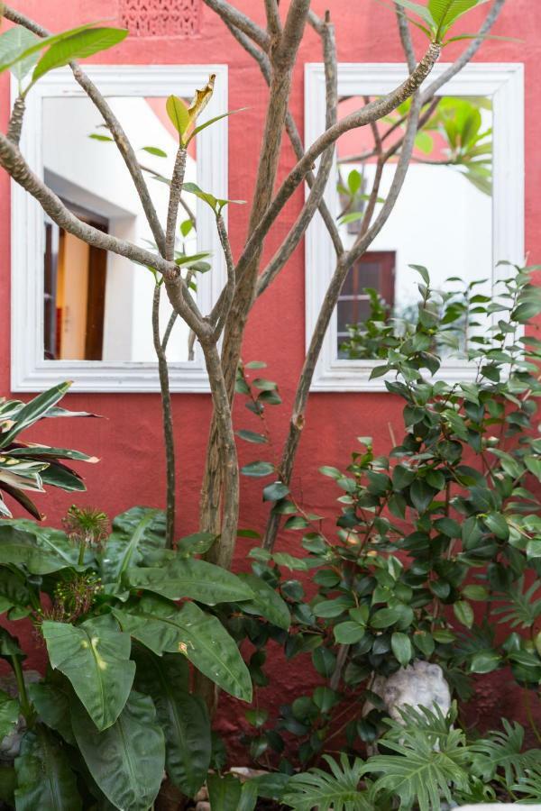 Central Cape Town, Stylish Home, With Private Courtyard Extérieur photo